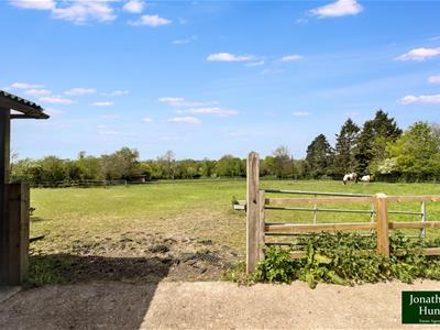 Picture 25